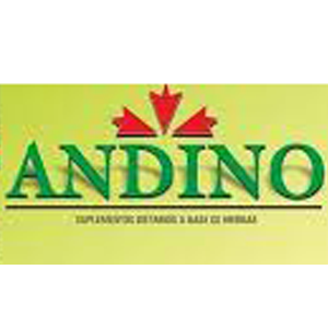 Andino